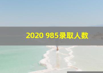 2020 985录取人数